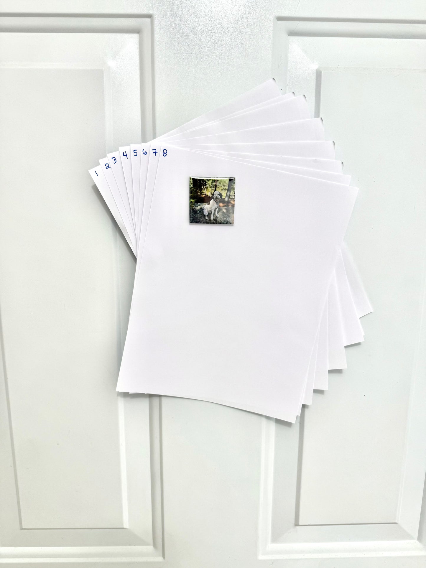 Wholesale 2x2" Magnets - Bulk 50+